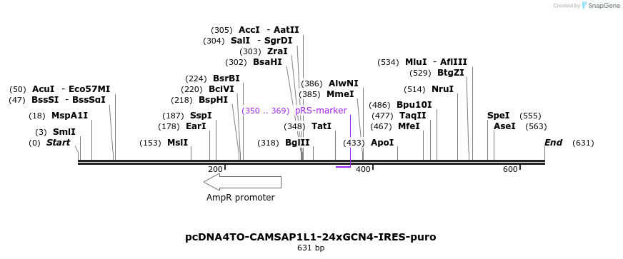 105927_map