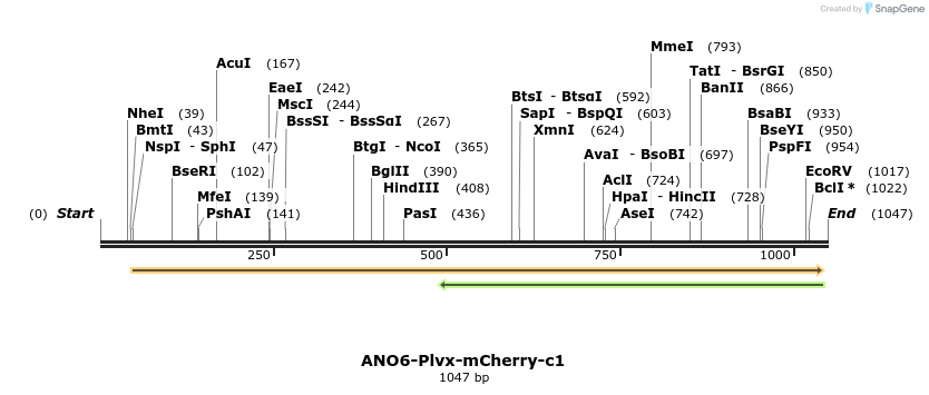 105929_map