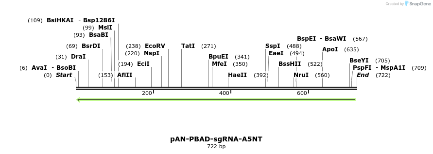 105935_map
