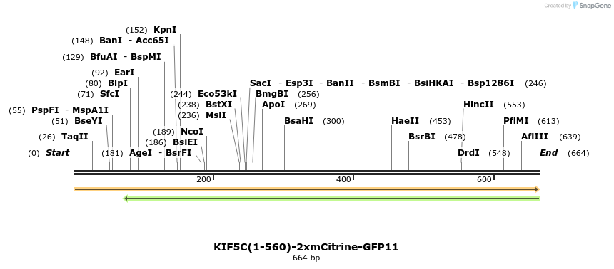 105938_map