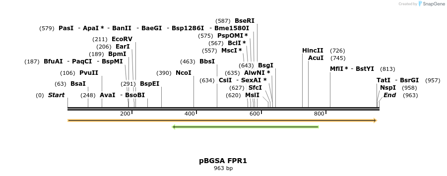 105940_map