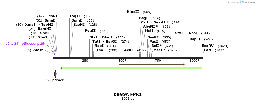 105941_map