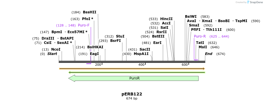 105942_map