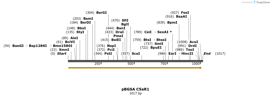 105947_map