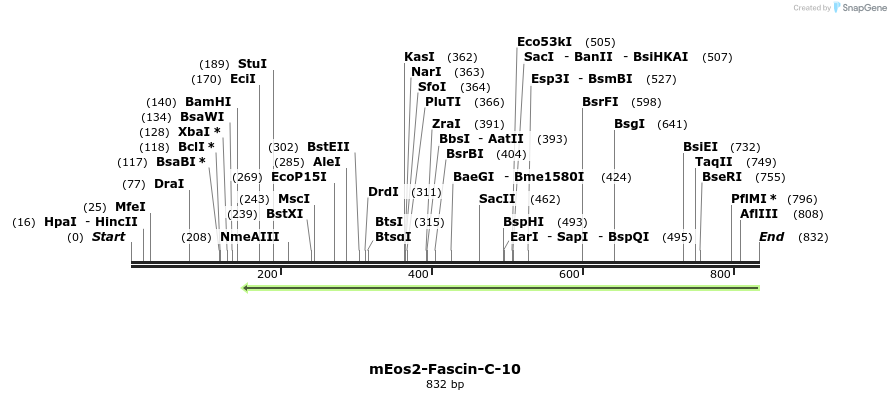 105968_map