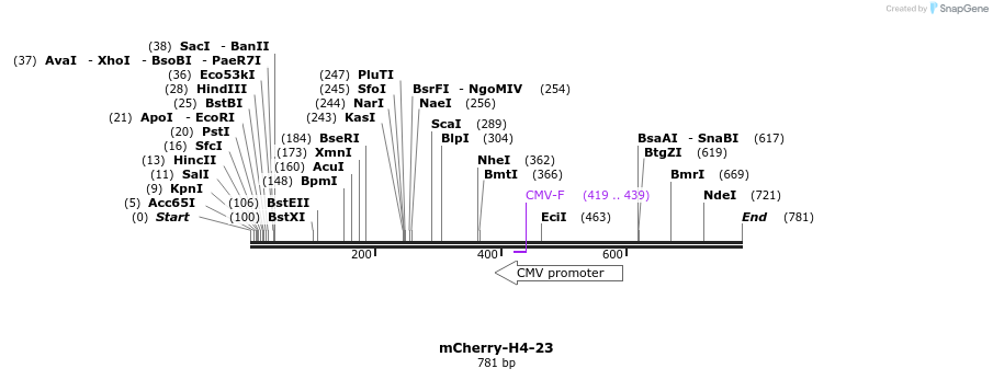 105972_map