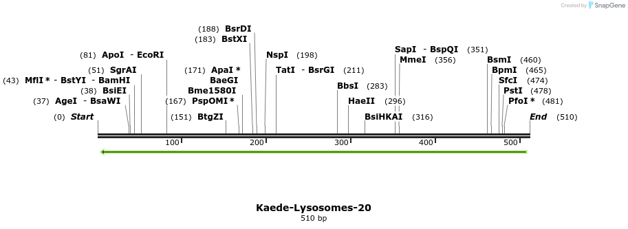 105978_map