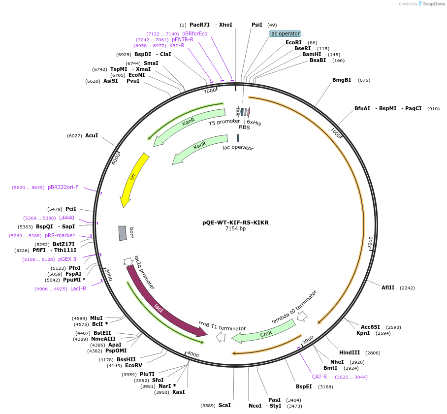 106013_map