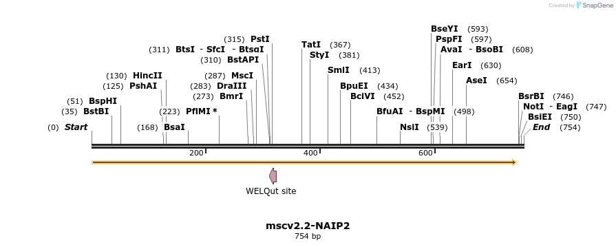 106048_map