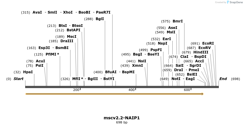 106049_map