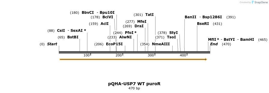 106059_map
