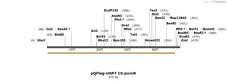 106060_map