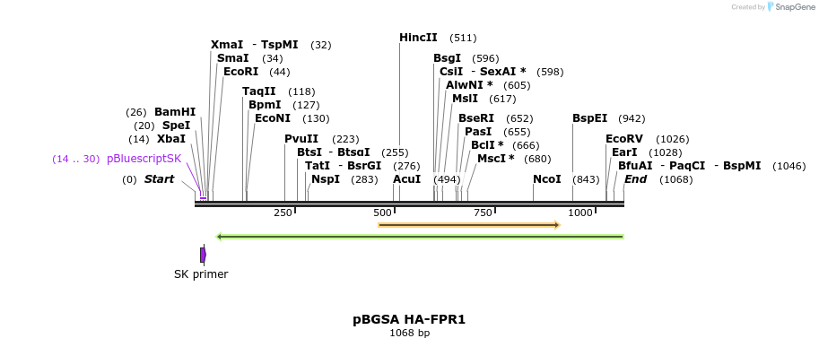 106061_map