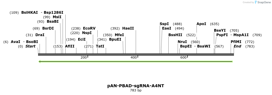 106077_map
