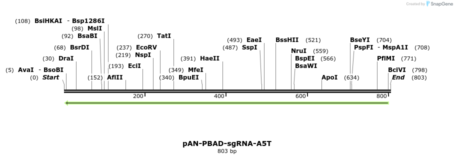 106078_map