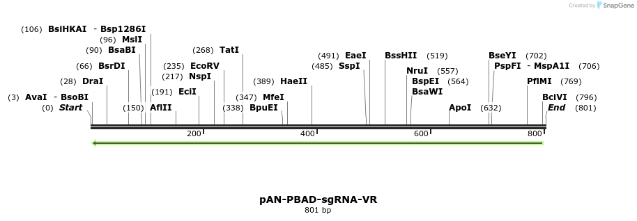 106079_map