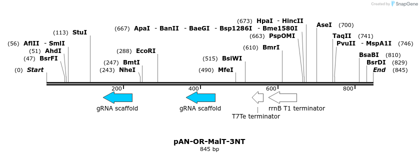106083_map