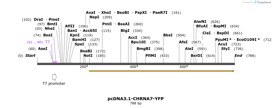 106087_map
