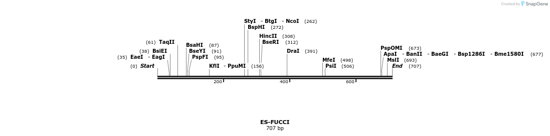 106089_map