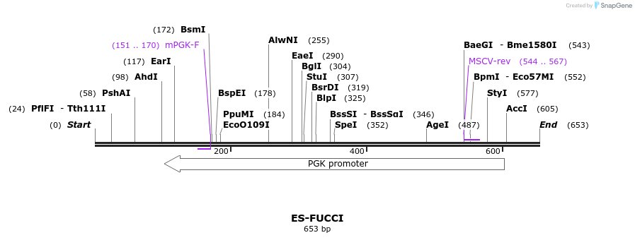 106090_map