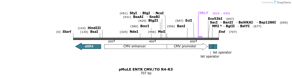 106099_map