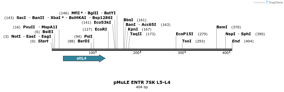 106101_map