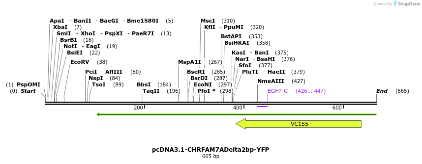 106103_map