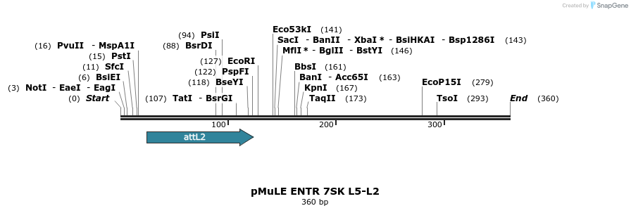 106106_map