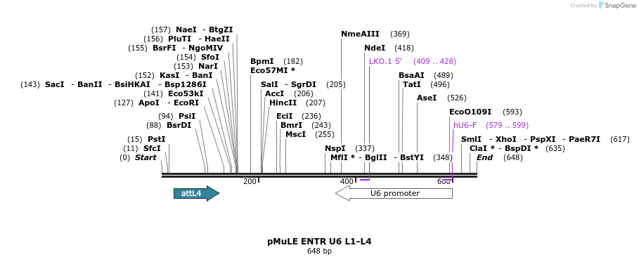 106107_map