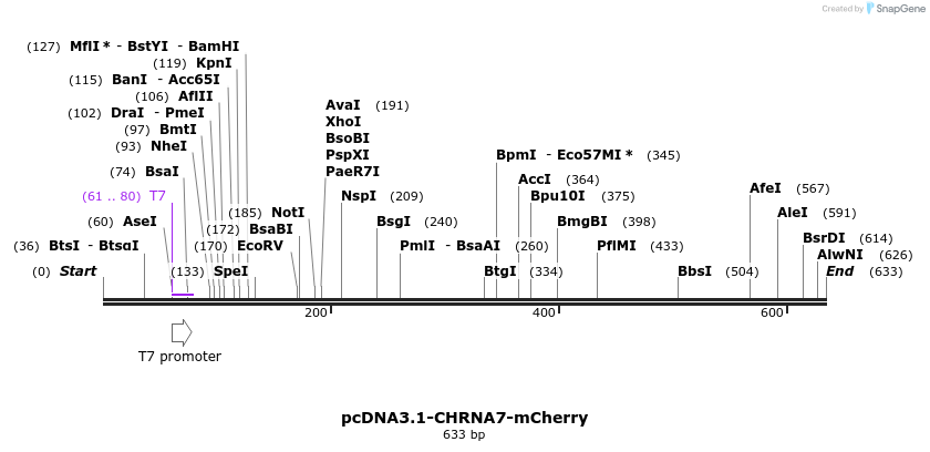 106109_map