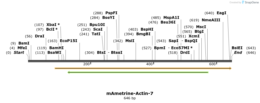 106111_map
