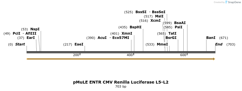 106120_map