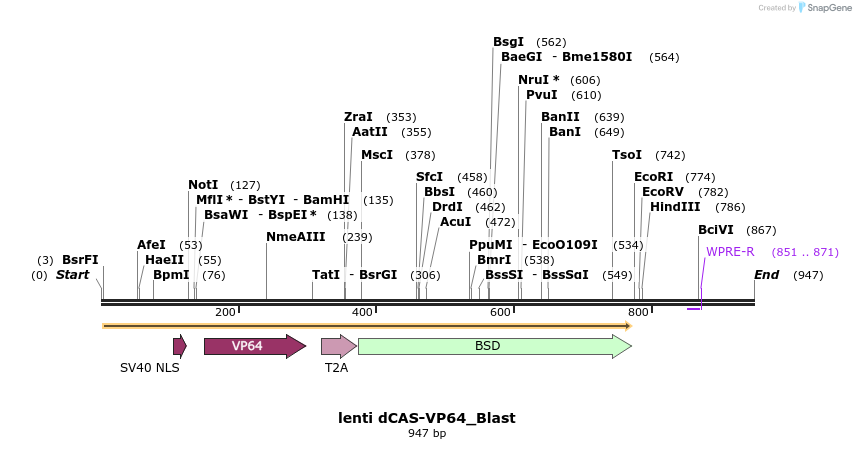 106129_map