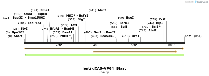 106130_map