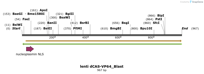 106131_map