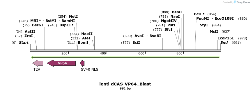 106134_map