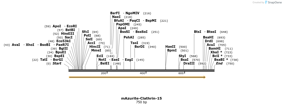 106142_map