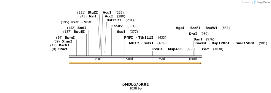 106143_map