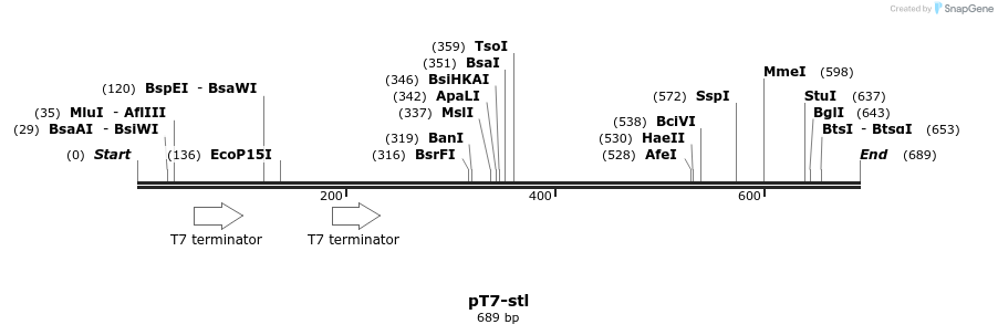 106144_map