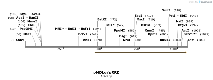 106145_map
