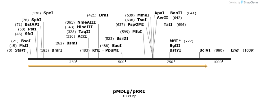 106147_map