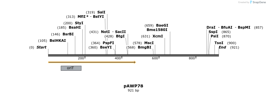 106148_map