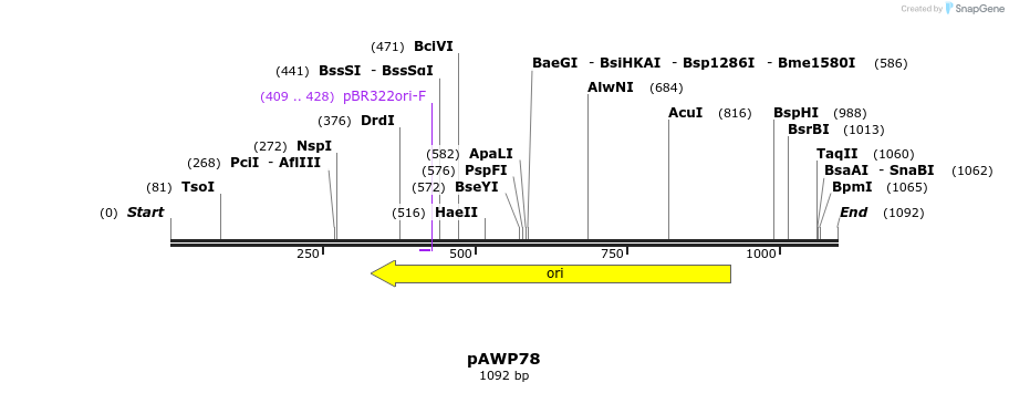 106149_map