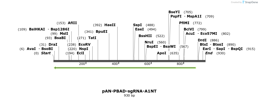 106152_map