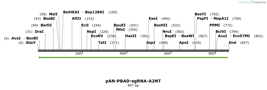 106154_map
