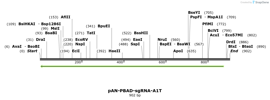 106155_map