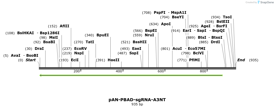 106158_map