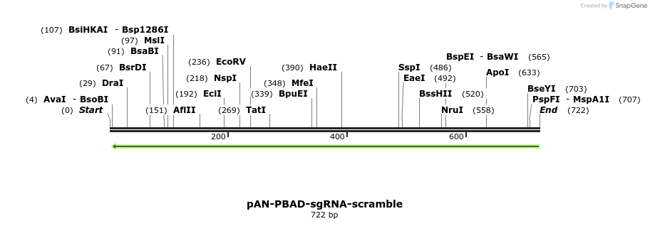 106159_map