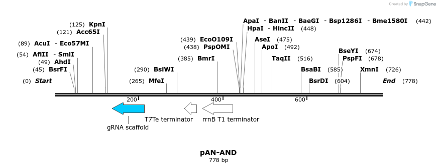 106161_map