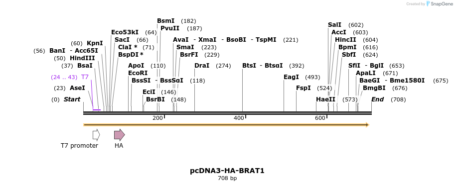 106163_map
